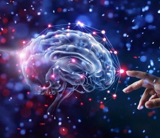 Pasar un cerebro al ordenador | ¿Estamos cerca de la inmortalidad? pasar-un-cerebro-al-ordenador-manos