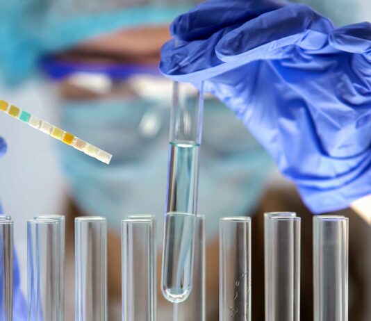 Fábrica de órganos humanos llegaría en 10 años Fabrica de órganos humanos principal