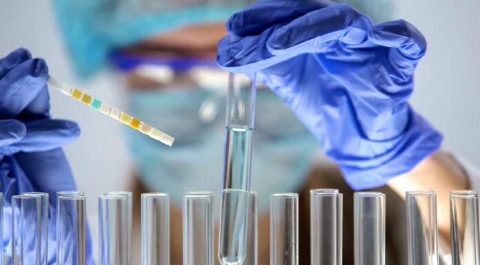 Fábrica de órganos humanos llegaría en 10 años Fabrica de órganos humanos principal