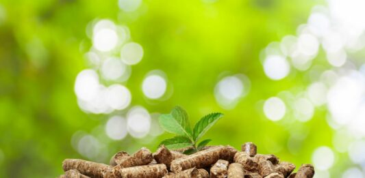Energía de biomasa | ¿Qué es? ¿Un futuro prometedor?