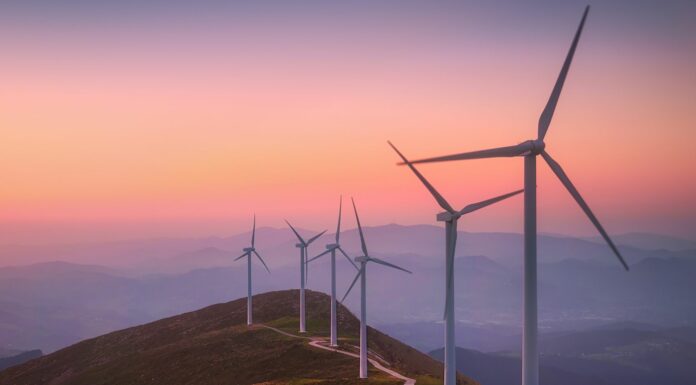 Energía eólica | Todo lo que necesitas saber sobre la energía del futuro