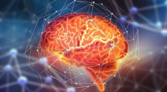 Deep learning o aprendizaje profundo | Qué es, cómo funciona, aplicaciones cerebro-conexiones-neuronales