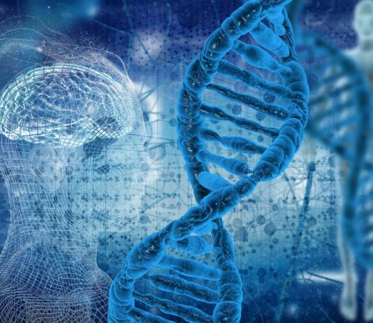 Calico y el elixir de la vida | Google en busca de la inmortalidad Gen ADN