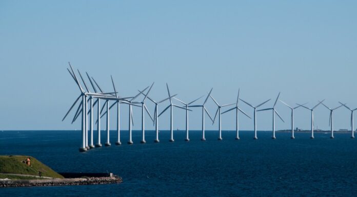 Energía eólica marina | Una nueva apuesta en el sector offshore