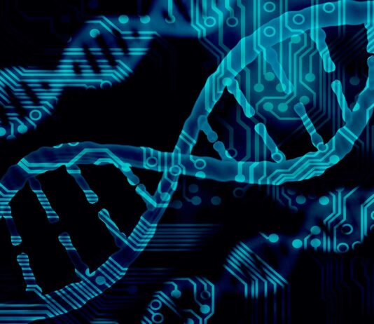 Ingeniería genética | La manipulación de los genes y sus implicaciones Ingeniería genética PR