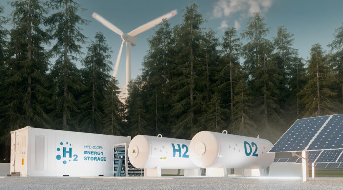 Hidrógeno verde | Qué es y para qué sirve el llamado «combustible del futuro» Hidrógeno verde PRINC