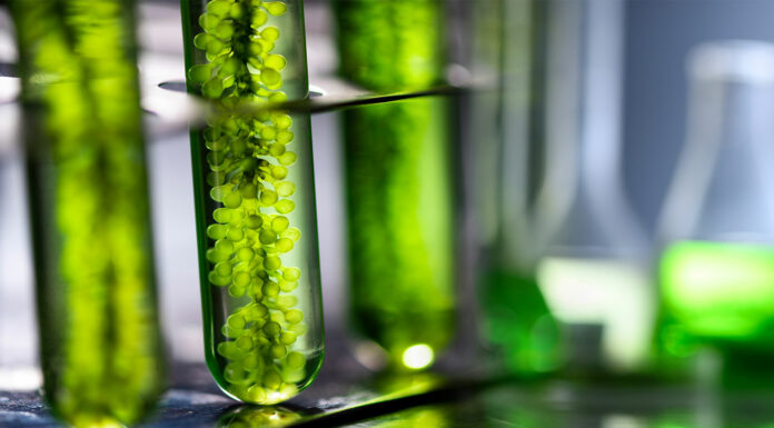 Fábricas de hidrógeno en gotas de agua | ¿En qué consiste este nuevo descubrimiento? fábrica de hidrógeno