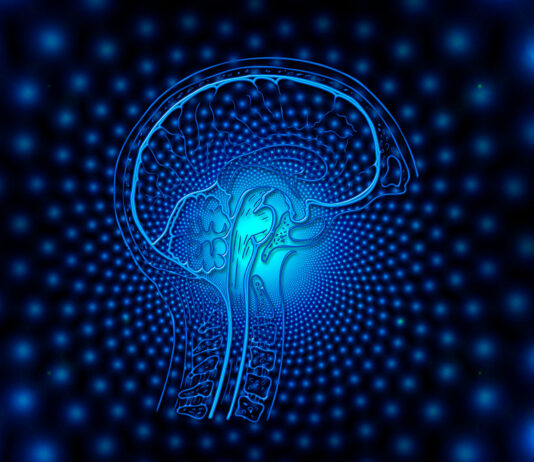 Ingeniería neuromórfica | Chips, cerebro humano y el futuro de la computación ingeniería neuromórfica princ