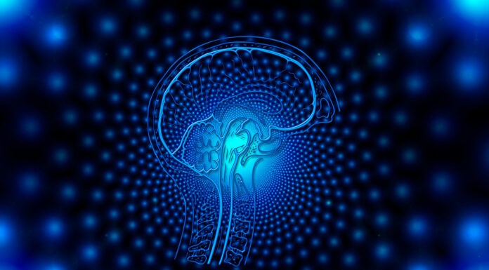 Ingeniería neuromórfica | Chips, cerebro humano y el futuro de la computación ingeniería neuromórfica princ