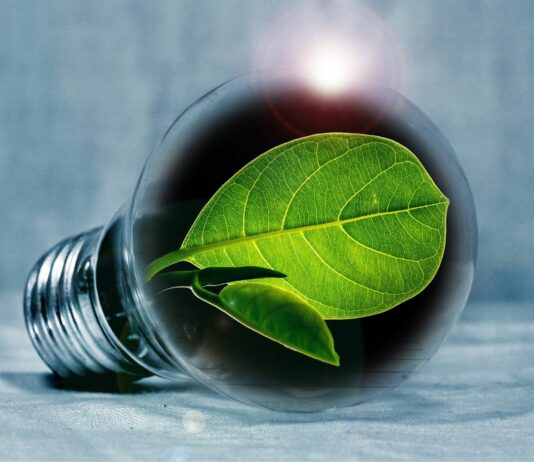 La importancia de escoger una tarifa de luz adaptada a tu rutina La importancia de escoger una tarifa de luz adaptada a tu rutina
