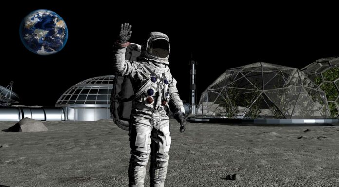 Proponen enviar un «arca de Noé» a la Luna | Una copia de seguridad de 6,7 millones de especies 1-Luna-Arca-de-Noé