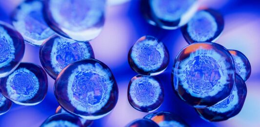 Científicos crean un modelo artificial de embrión humano a partir de células de la piel 1-embriones-humanos-PR