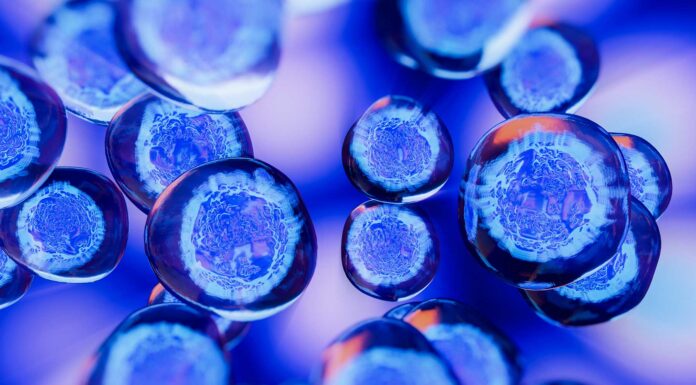 Científicos crean un modelo artificial de embrión humano a partir de células de la piel 1-embriones-humanos-PR