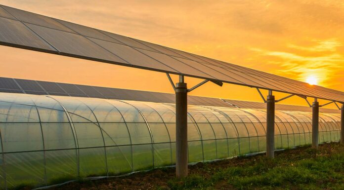 Usos de la energía solar | ¿Cómo se puede utilizar este tipo de energía? Usos de la energía solar (2)