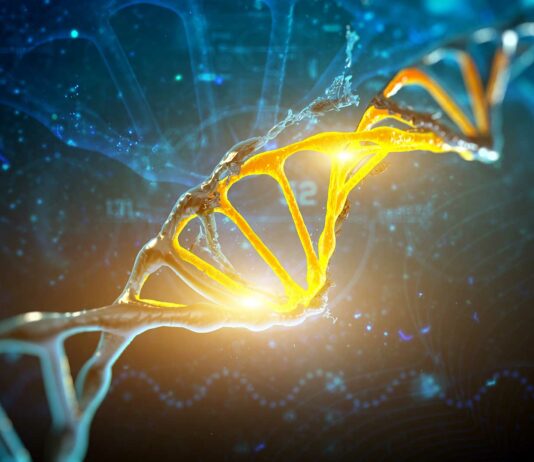 Nueva herramienta de edición de genes que realiza millones de ediciones a la vez | ¿Un rival de CRISPR? 1-RLR-ADN-genes-PRINC