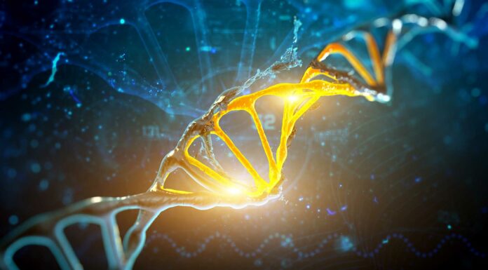Nueva herramienta de edición de genes que realiza millones de ediciones a la vez | ¿Un rival de CRISPR? 1-RLR-ADN-genes-PRINC