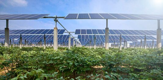 Energía agrovoltaica | La suma de la agricultura y electricidad Energía agrovoltaica PRINC