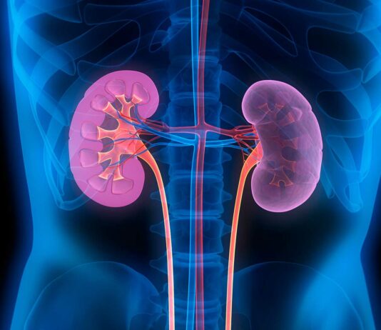 Más cerca de los órganos artificiales | La NASA podría imprimirlos en el espacio 1-Órganos-artificiales