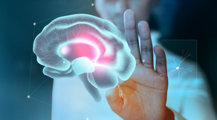 Copiar y pegar el cerebro humano en microchips | El proyecto de Samsung