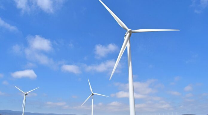 Reciclaje de palas de aerogeneradores | El gran reto de la energía eólica