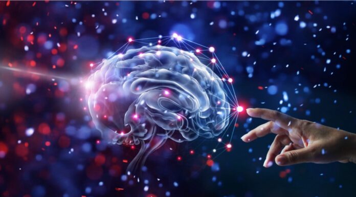 Nuevos chips permiten que la IA aprenda continuamente igual que el cerebro humano