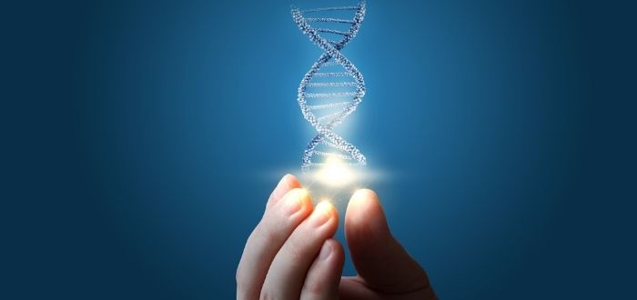 Cadena humana de ADN