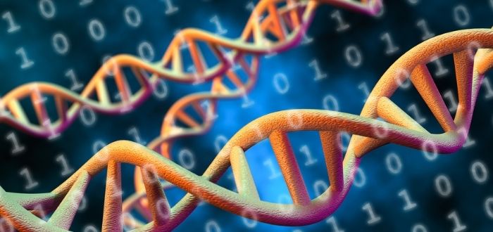 Almacenamiento de datos en ADN