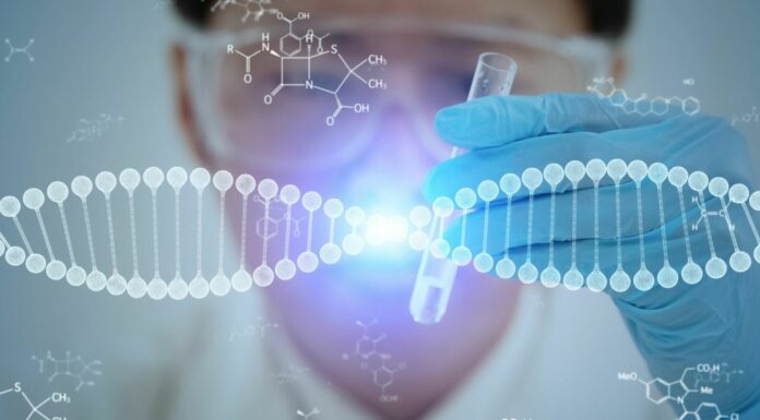 El ADN será el «disco duro» del futuro según científicos