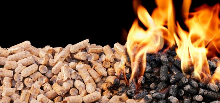 Quema de materia prima | Ventajas y desventajas de la energía de biomasa