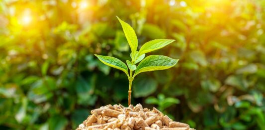 Ventajas y desventajas de la energía biomasa | Conoce sus pros y contras