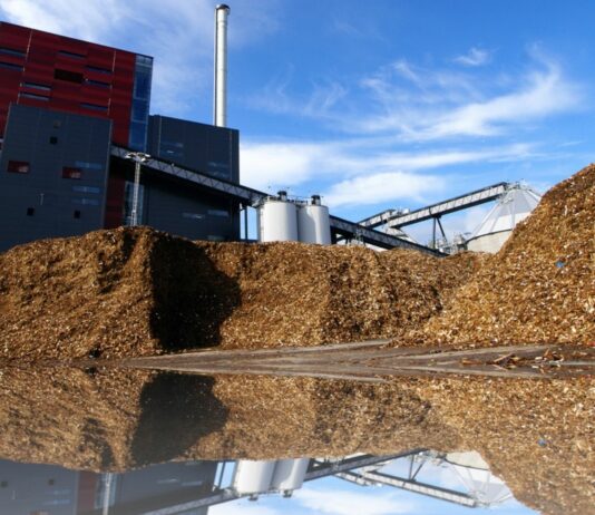 Usos de la energía biomasa | Las 10 aplicaciones más importantes