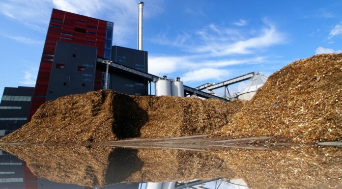 Usos de la energía biomasa | Las 10 aplicaciones más importantes