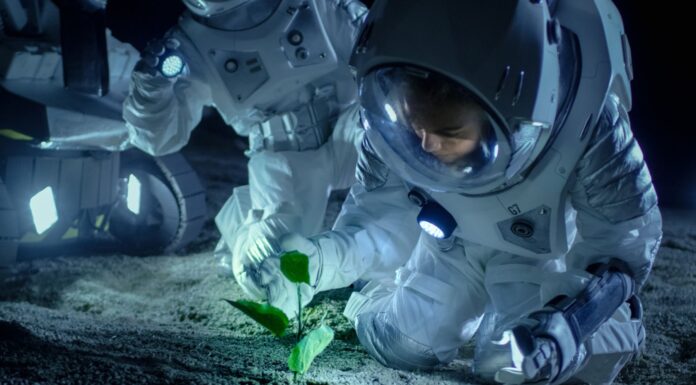 Agricultura espacial | ¿Es realmente posible?