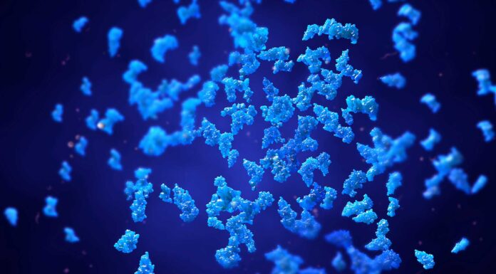 Descubren una enzima que puede convertir el aire en electricidad enzima que convierte aire en electricidad