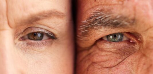 Científicos descubren un camino para revertir el envejecimiento en animales | ¿Podría funcionar en humanos?