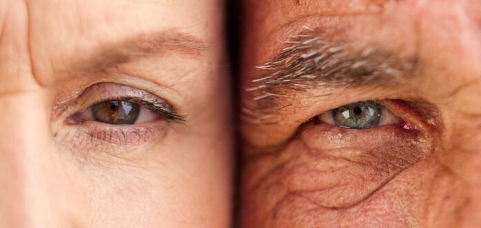 Científicos descubren un camino para revertir el envejecimiento en animales | ¿Podría funcionar en humanos?