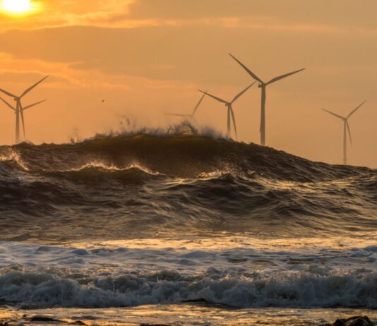 Energía marina | El potencial de los océanos para un futuro verde