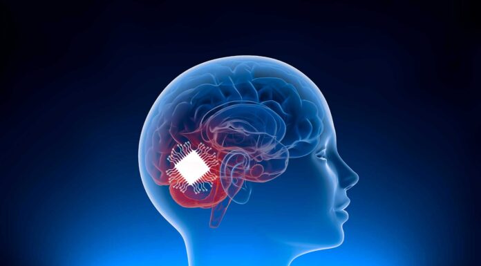 Implantes cerebrales | La próxima frontera en la interfaz hombre-máquina implantes cerebrales