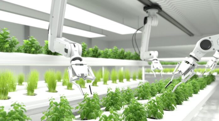 ¿Cuál es el futuro de la robótica? | Innovaciones y avances que cambiarán el mundo