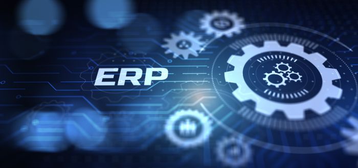 software ERP