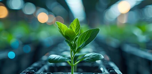 Qué son los centros de datos verdes | Beneficios y características