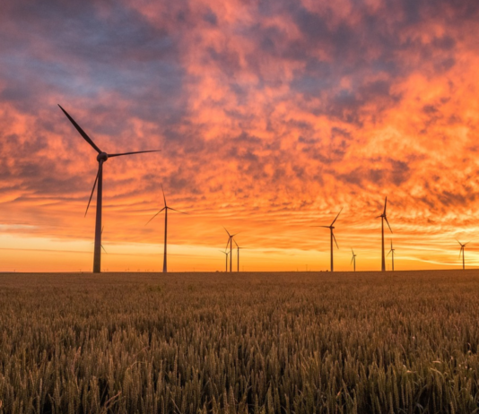 Energías renovables en España | Tendencias 2025 Energías renovables en España: energía eólica