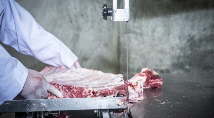 Cómo las máquinas para procesar carne se han transformado para asegurar un proceso más óptimo y sostenible: te lo explicamos maquinas-para-procesar-carne